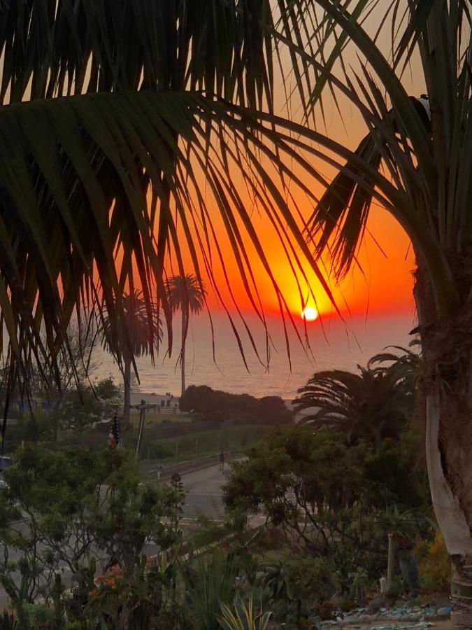 Moonlight Beach Motel Encinitas Exterior foto